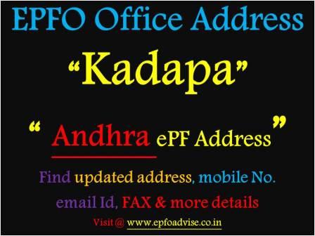 PF Office Kadapa Address