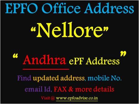 PF Office Nellore Address