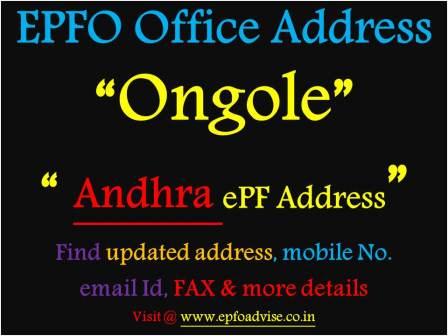 PF Office Ongole Address
