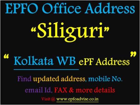 PF Office Siliguri Address